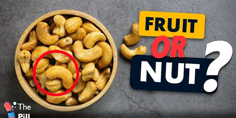fruit and nut là gì - Nghĩa của từ fruit and nut