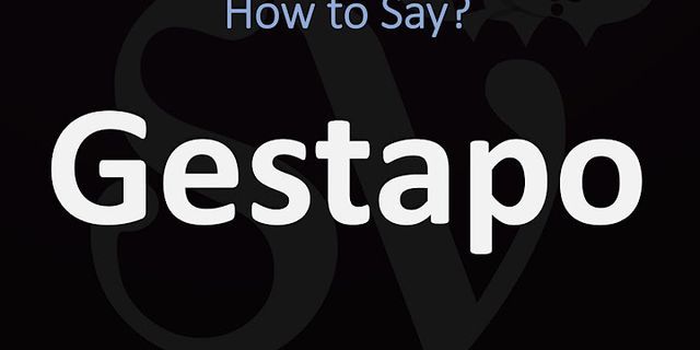 fun gestapo là gì - Nghĩa của từ fun gestapo