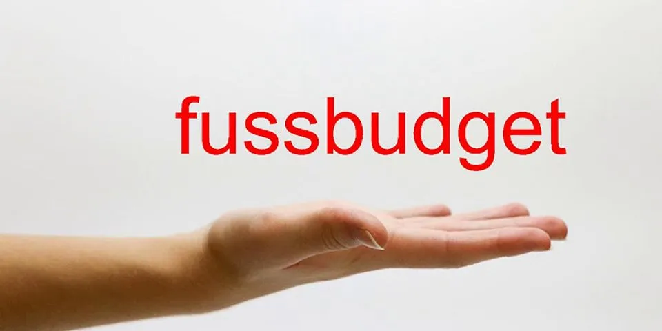 fussbudget là gì - Nghĩa của từ fussbudget