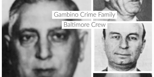 gambino crime family là gì - Nghĩa của từ gambino crime family