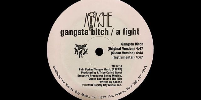 gangsta bitch là gì - Nghĩa của từ gangsta bitch