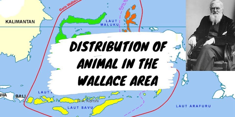 Garis biogeografi yang ditarik di tepi perbatasan Paparan Sahul dimana dasar laut turun curam di kawasan biogeografi Wallacea adalah?
