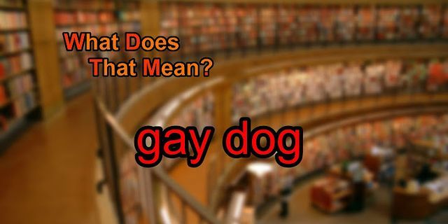 gay dog là gì - Nghĩa của từ gay dog