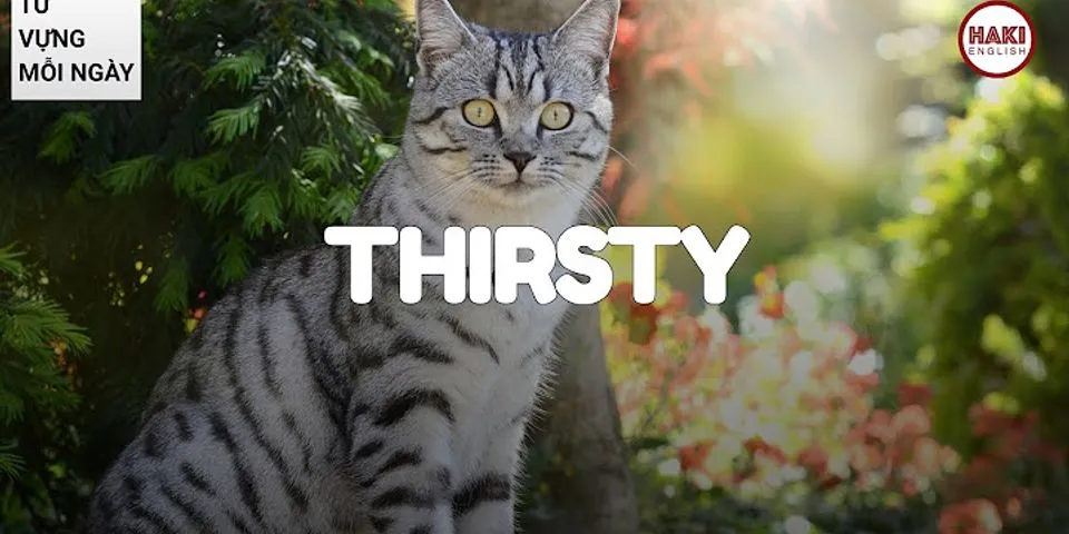 get thirsty là gì - Nghĩa của từ get thirsty