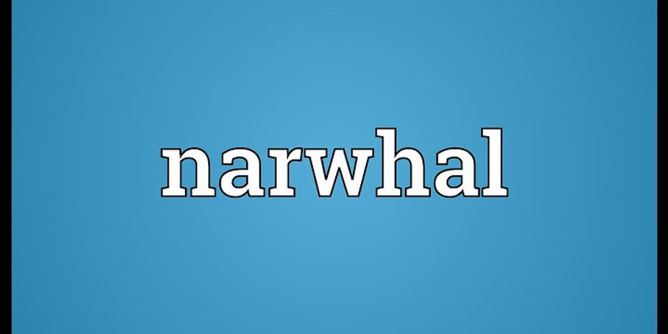 gnarwhal là gì - Nghĩa của từ gnarwhal