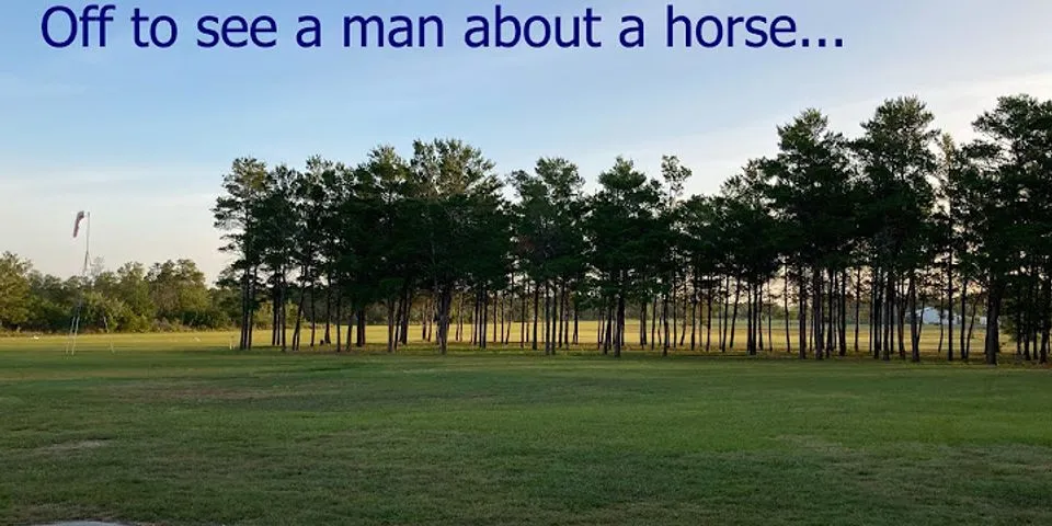 go see a man about a horse là gì - Nghĩa của từ go see a man about a horse