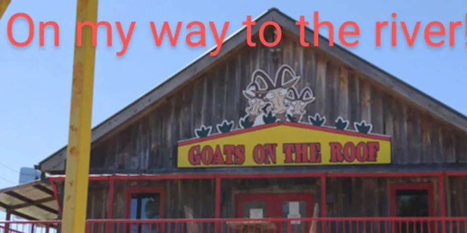 goats on a roof là gì - Nghĩa của từ goats on a roof