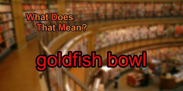 goldfish bowl là gì - Nghĩa của từ goldfish bowl