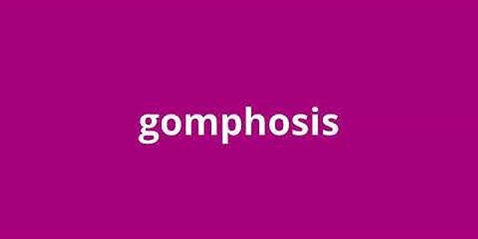 gomphosis là gì - Nghĩa của từ gomphosis