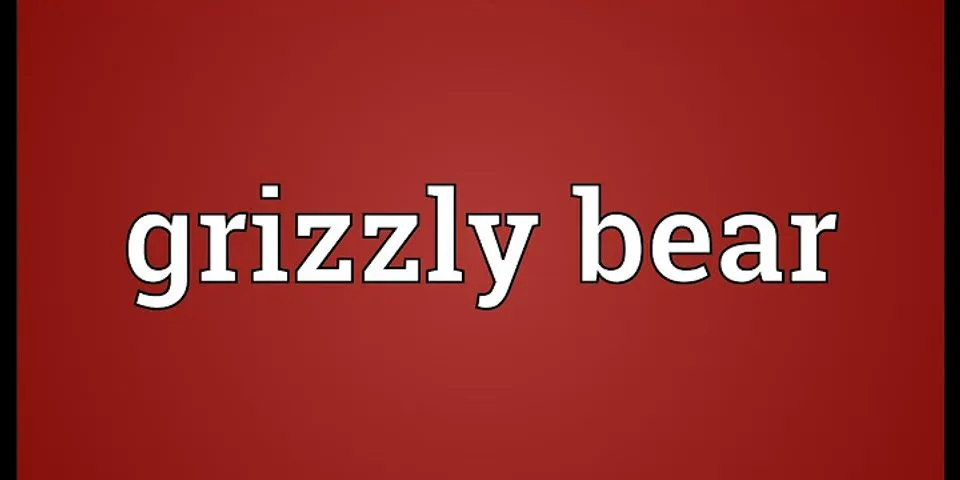 grizzly bear là gì - Nghĩa của từ grizzly bear