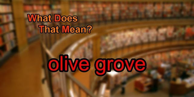 grove là gì - Nghĩa của từ grove