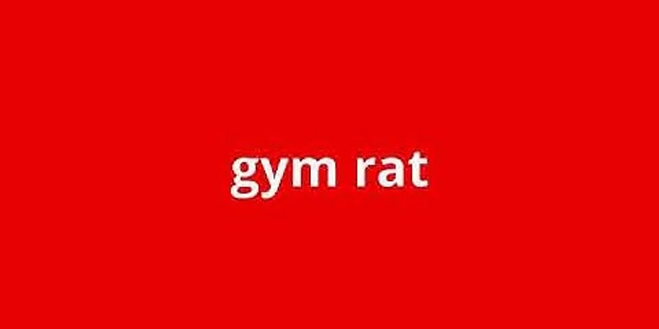 gym rat là gì - Nghĩa của từ gym rat