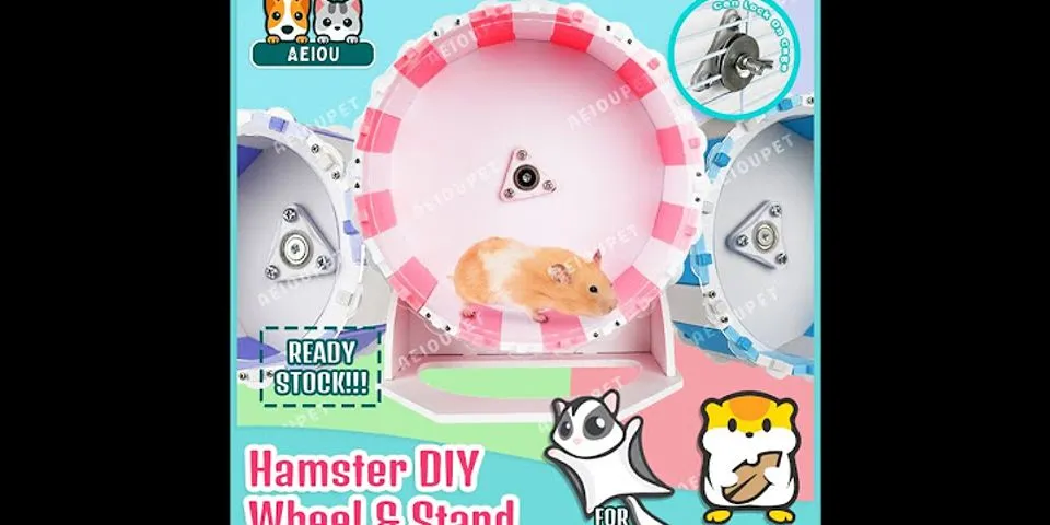 hamster wheel logic là gì - Nghĩa của từ hamster wheel logic