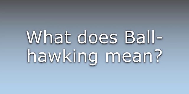 hawking là gì - Nghĩa của từ hawking