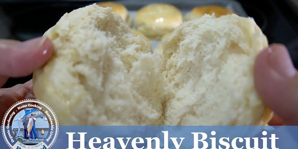 heavenly biscuit là gì - Nghĩa của từ heavenly biscuit