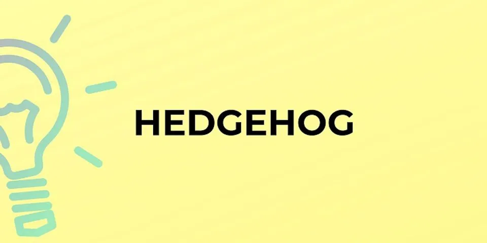 hedgehog là gì - Nghĩa của từ hedgehog