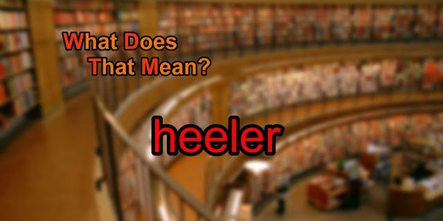 heeler là gì - Nghĩa của từ heeler