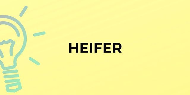 heifer là gì - Nghĩa của từ heifer