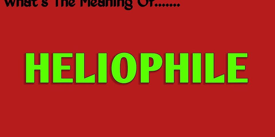 heliophilia là gì - Nghĩa của từ heliophilia