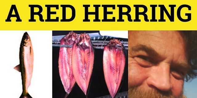 herring là gì - Nghĩa của từ herring