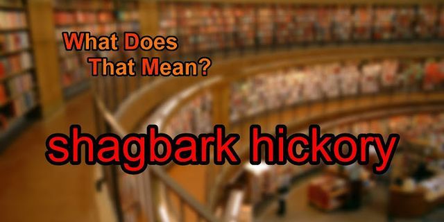 hickory là gì - Nghĩa của từ hickory