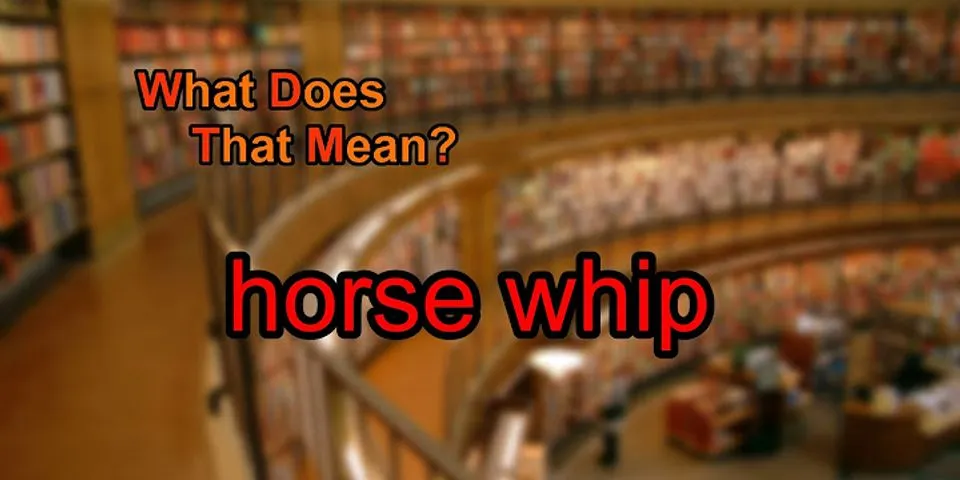 horse whip là gì - Nghĩa của từ horse whip
