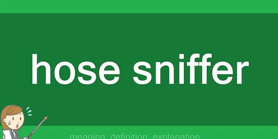 hose sniffer là gì - Nghĩa của từ hose sniffer