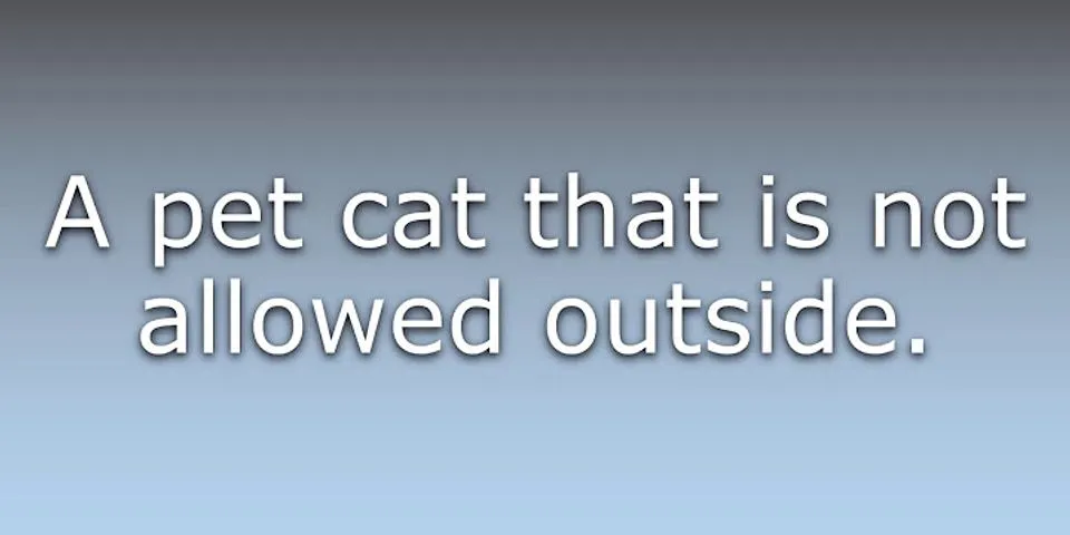 housecat là gì - Nghĩa của từ housecat