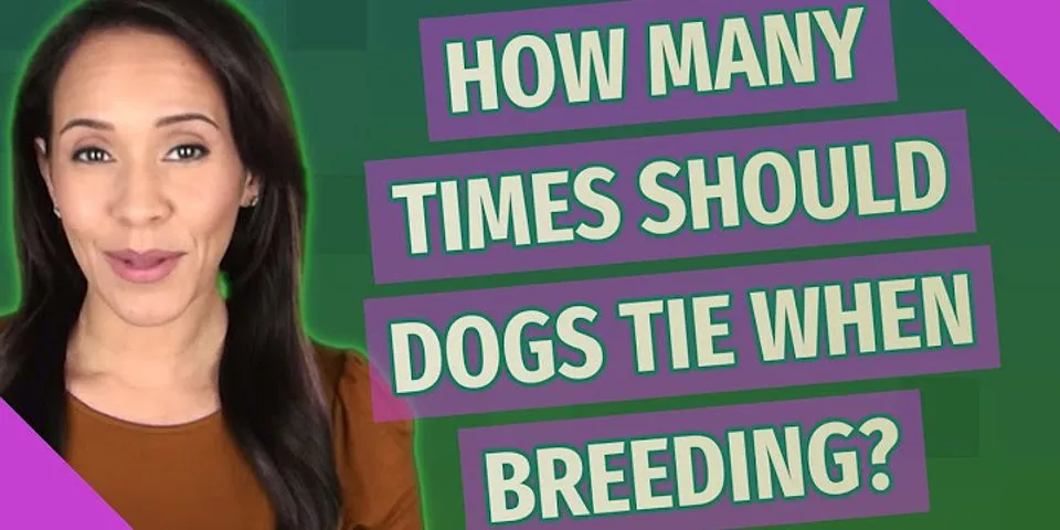 How many times do dogs have to mate to get pregnant?