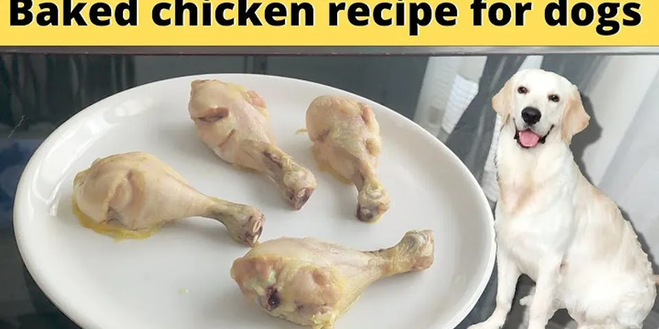 How to cook chicken for dogs with diarrhea