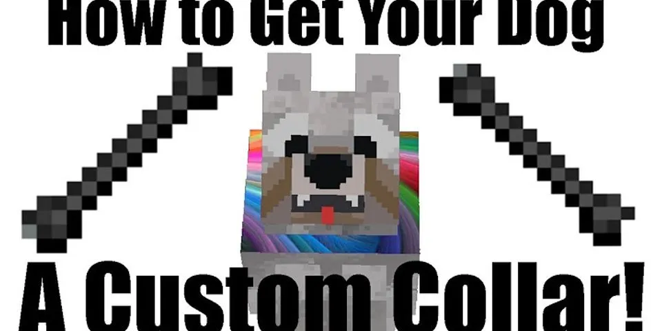 How to dye a dog collar in Minecraft