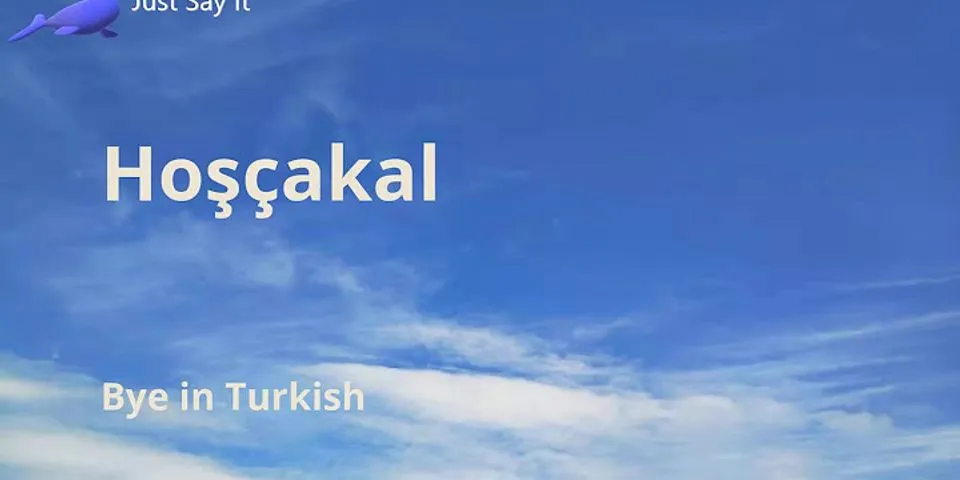 How to say bye in Turkish