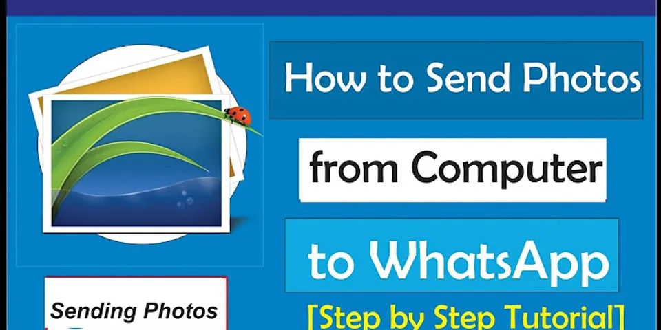 How to send a photo on WhatsApp Android