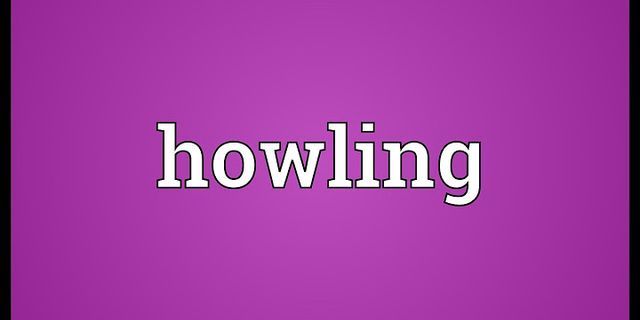 howling là gì - Nghĩa của từ howling