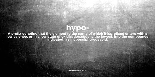 hypo là gì - Nghĩa của từ hypo