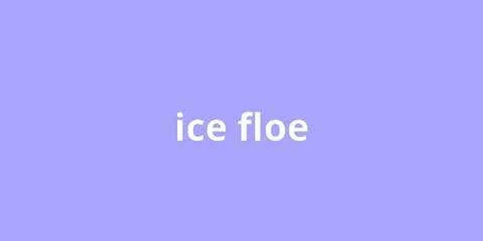 ice floes là gì - Nghĩa của từ ice floes