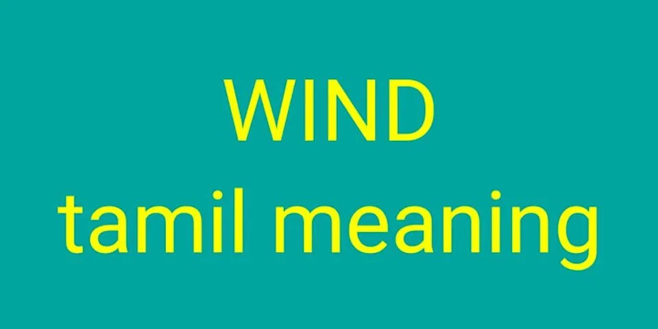 in the wind là gì - Nghĩa của từ in the wind