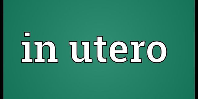 in utero là gì - Nghĩa của từ in utero