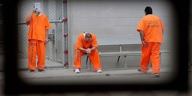 inmate là gì - Nghĩa của từ inmate
