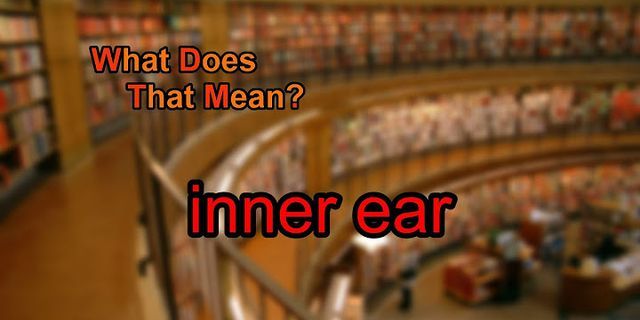 inner ear là gì - Nghĩa của từ inner ear