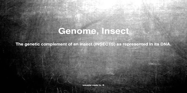 insect là gì - Nghĩa của từ insect