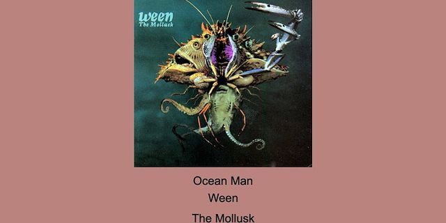 instant ocean man là gì - Nghĩa của từ instant ocean man