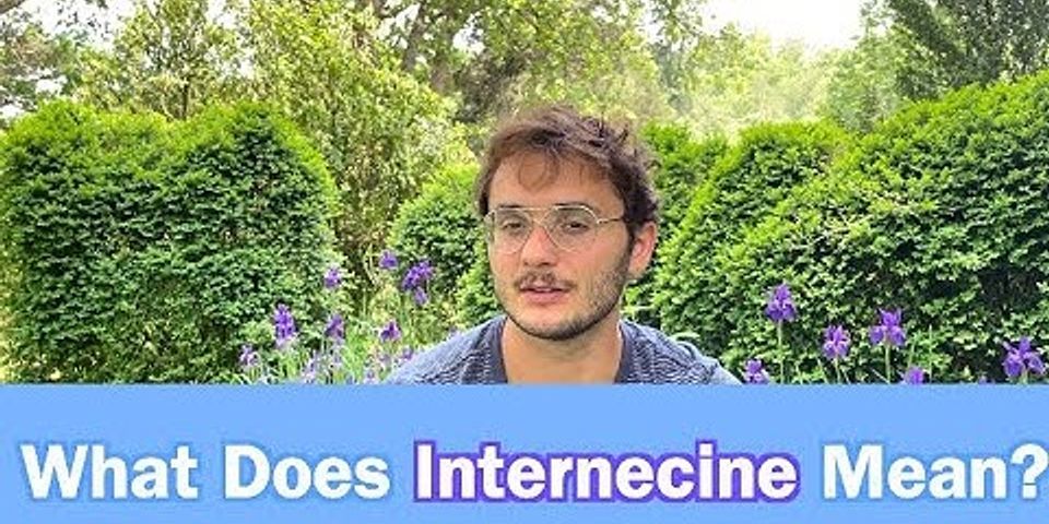 internecine là gì - Nghĩa của từ internecine