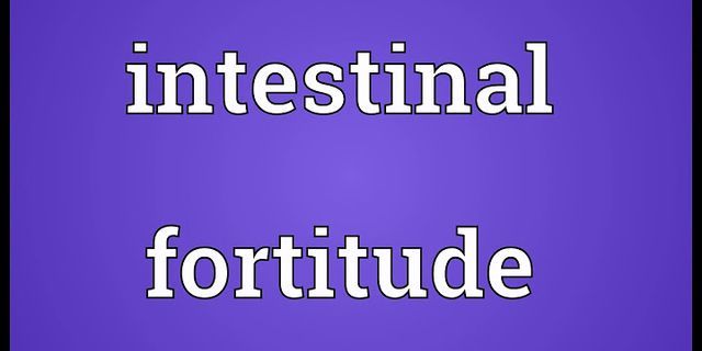 intestinal fortitude là gì - Nghĩa của từ intestinal fortitude
