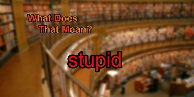 is stupid là gì - Nghĩa của từ is stupid