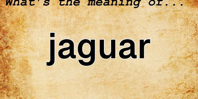 jaguars là gì - Nghĩa của từ jaguars