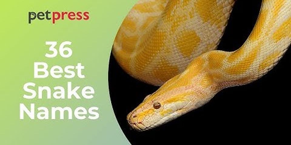Japanese snake names