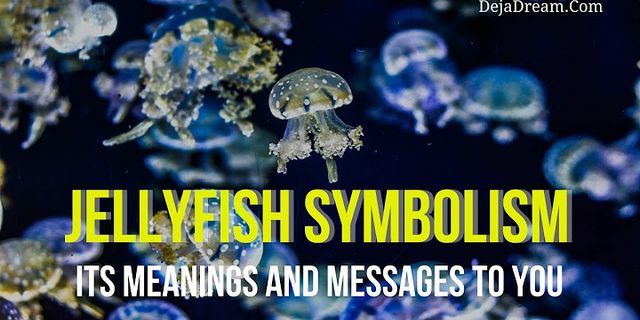jellyfish là gì - Nghĩa của từ jellyfish