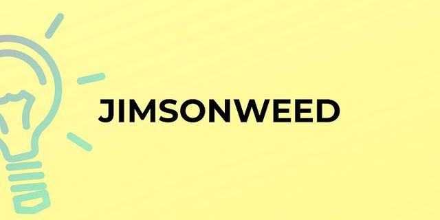 jimson weed là gì - Nghĩa của từ jimson weed