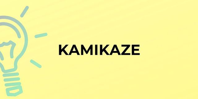 kamikaze style là gì - Nghĩa của từ kamikaze style